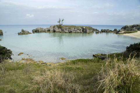 Tobacco-bay