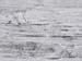 roof-texture
